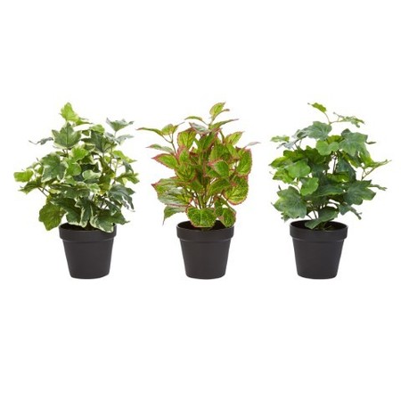 NATURE SPRING Nature Spring Potted Faux Foliage - Set of 3 741735RRD